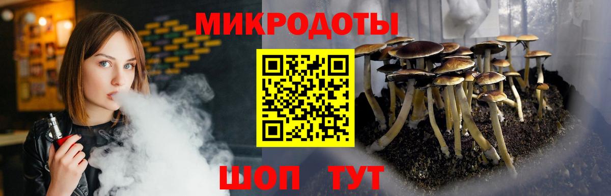 Псилоцибиновые грибы прущие грибы  Вход с VPN  Белогорск  Галлюциногенные грибы Psilocybe 